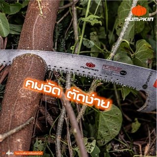 PUMPKIN เลื่อยโค้งตัดกิ่งไม้ ทรงตะขอเดี่ยว/ทรง2ตะขอ Pruning Saw ใบเลื่อยเหล็ก (33313)