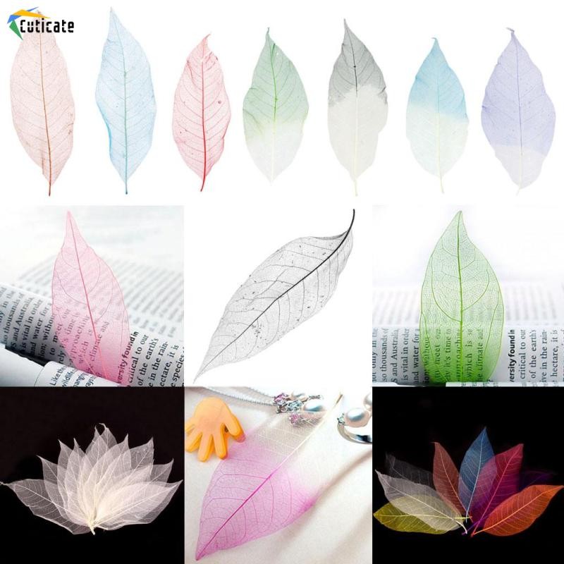 50 ชิ ้ น 5-6 ชิ ้ น Skeleton Leaf ธรรมชาติแห ้ งหัตถกรรมการ ์ ดสมุดภาพสี Embellishment