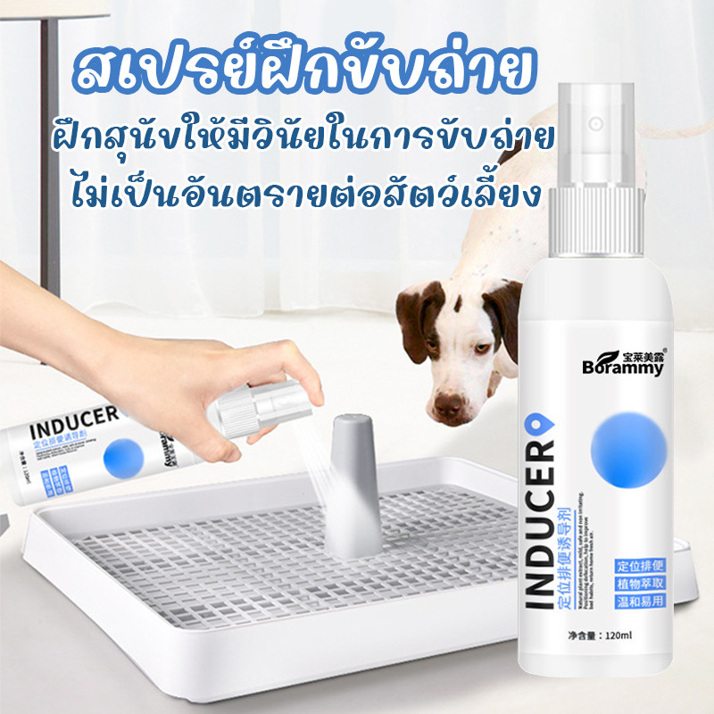 สเปรย์ฝึกการขับถ่าย ให้ฉี่ ห้ามฉี่ สำหรับสัตว์เลี้ยง สเปรย์ฝึกการขับถ่าย สเปรย์ฝึกสุนัขขับถ่าย สเปรย์ฝึกขับถ่าย