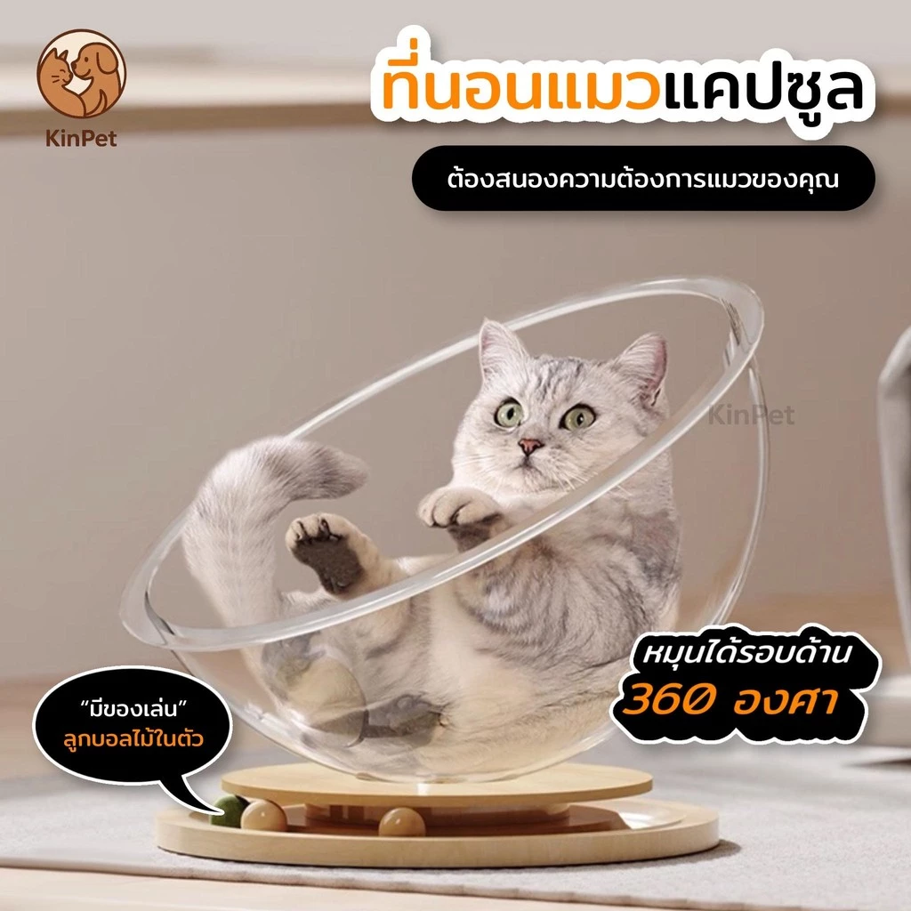 บ้านแมวแคปซูลอะคริลิค พร้อมรางบอลไม้