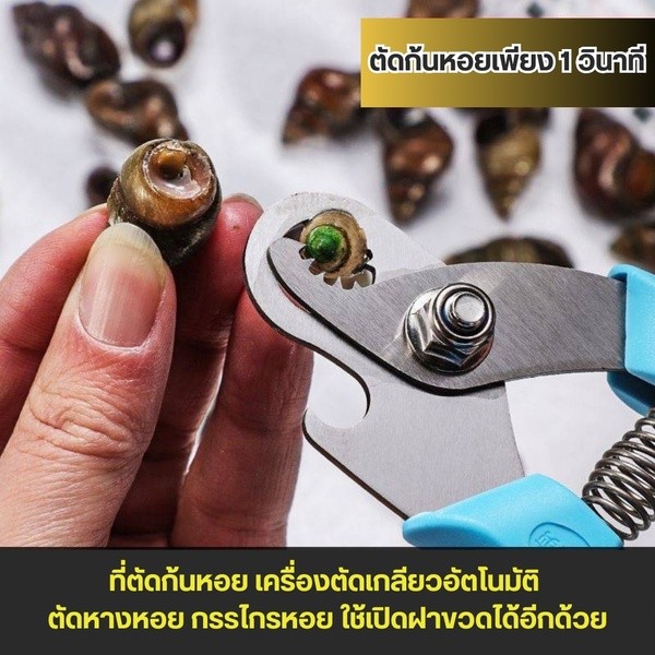 กรรไกรหอย 2 in 1 ที่ตัดก้นหอย เครื่องมือตัดพิเศษสำหรับตัดร่องก้นหอยทากตัดหางสิง ตัวช่วยตัดก้นหอยขมได้อย่างรวดเร็ว - รูปที่ 2