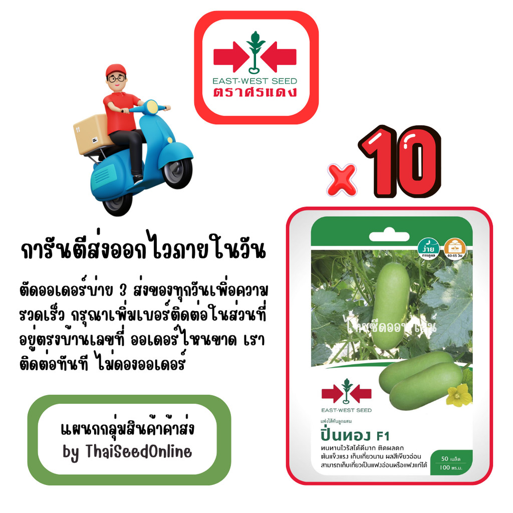 GG x 10 เมล็ดผักซองศรแดง ปิ่นทอง แฟง สินค้ายกแพ็ค