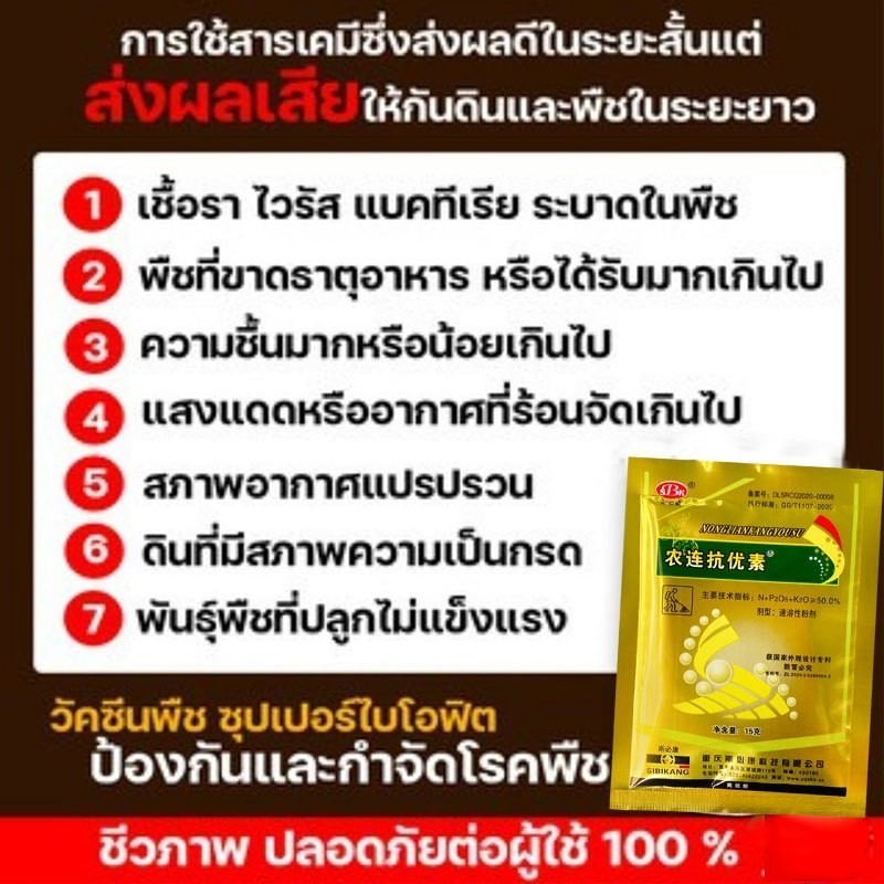 🌶️ซื้อ 1 แถม 1 🌶️วัคซีนพืชป้องกันโรคพริกเน่า โรคกุ้งแห้ง ผลเน่า โคนเน่า ใบหยิก ใบเหลือง โรคพริก เชื้อรา เชื่อไวรัส - รูปที่ 5