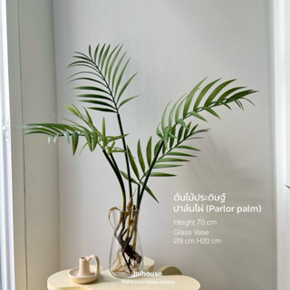 [พร้อมส่ง] Jnihouse : Parlor palm (ปาล์มไผ่) กิ่งไม้ประดิษฐ์…