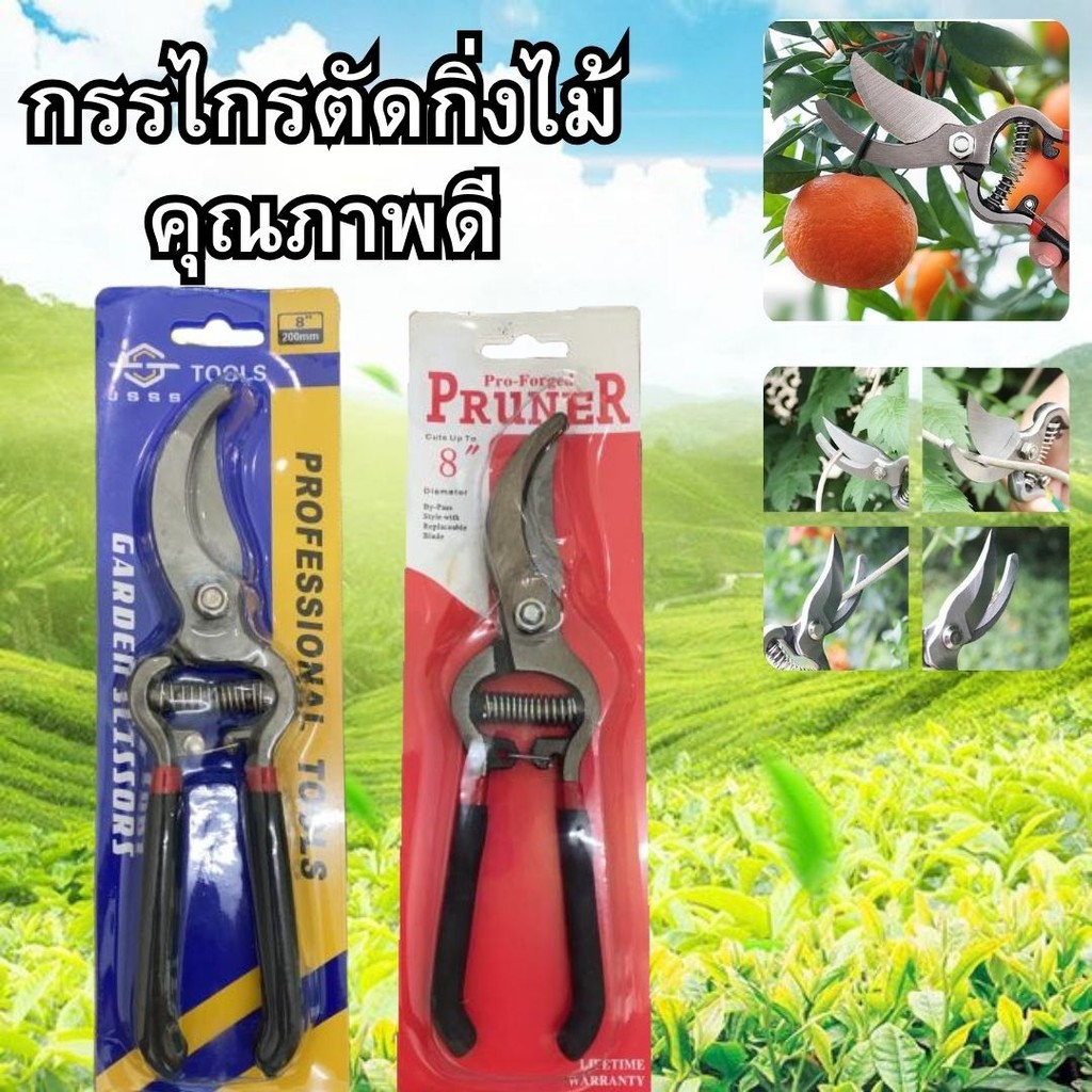 DDY V.2 กรรไกร​ตัดกิ่งไม้​ คุณภาพ​ดี​ กรรไกรตัดแต่งกิ่งไม้ กรรไกรทำบอนไซ 8 นิ้ว พร้อมส่งในไทย
