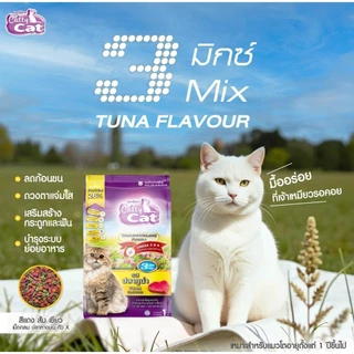 [[จำนวน 1 ถุง]] อาหารแมว catty cat โปรตีน26% ขนาด1กิโลกรัม*ถุงจากโรงงาน*