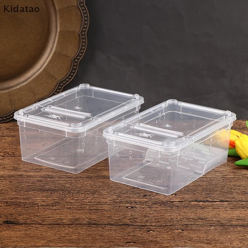 Kidatao กล่องสัตว์เลื้อยคลาน Mantis กระโดดแมงมุมหนอนไหมกล่องหลังสัตว์เลื้อยคลานกล่องหลังใหม่