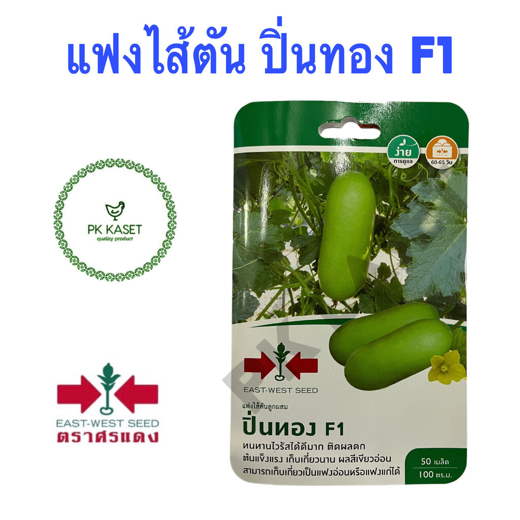 เมล็ดแฟงไส้ตันลูกผสม ปิ่นทอง F1 ศรแดง ซองแข็ง 50 เมล็ด ผักสวนครัว