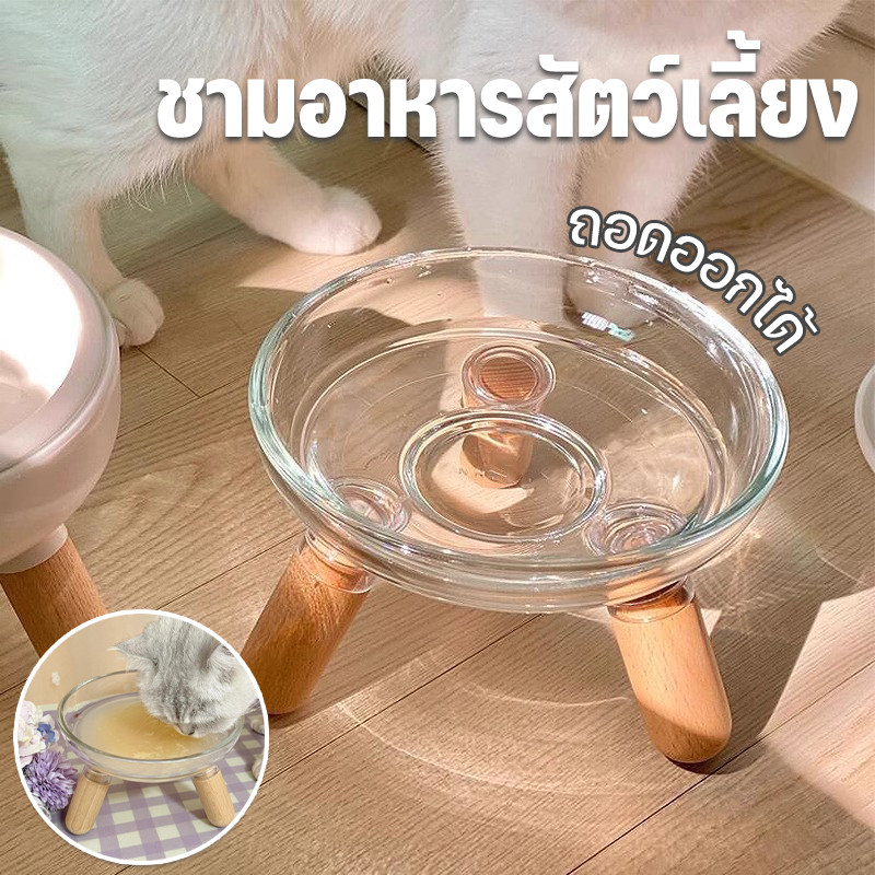 ชามอาหารสัตว์เลี้ยง ใส ชามอาหารแมว 2ชั้นถอดได้ ป้องกันคอ น่ารักมา