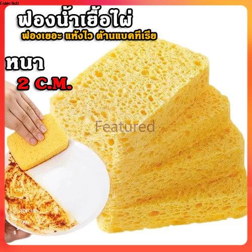 Featured ฟองน้ำเยื่อไม้ไผ่ เนื้อนุ่ม ฟองเยอะ แห้งไว ต้านแบคทีเรีย ใช้งานได้ทนทาน หนา 2 ซม.