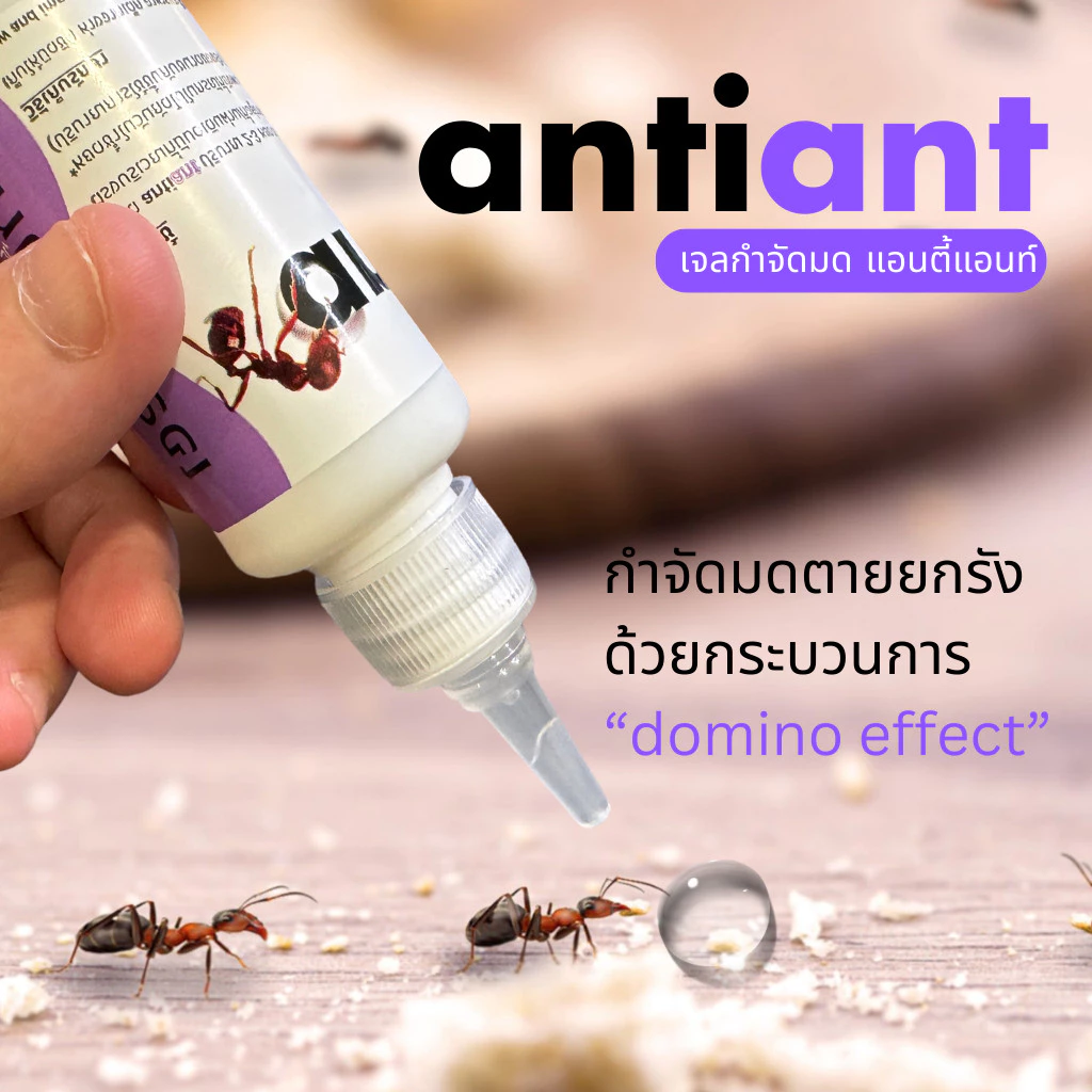 เจลกำจัดมด antiant แอนตี้แอนท์ [Antiant Thailand] ของแท้จากไทย thumbnail 4