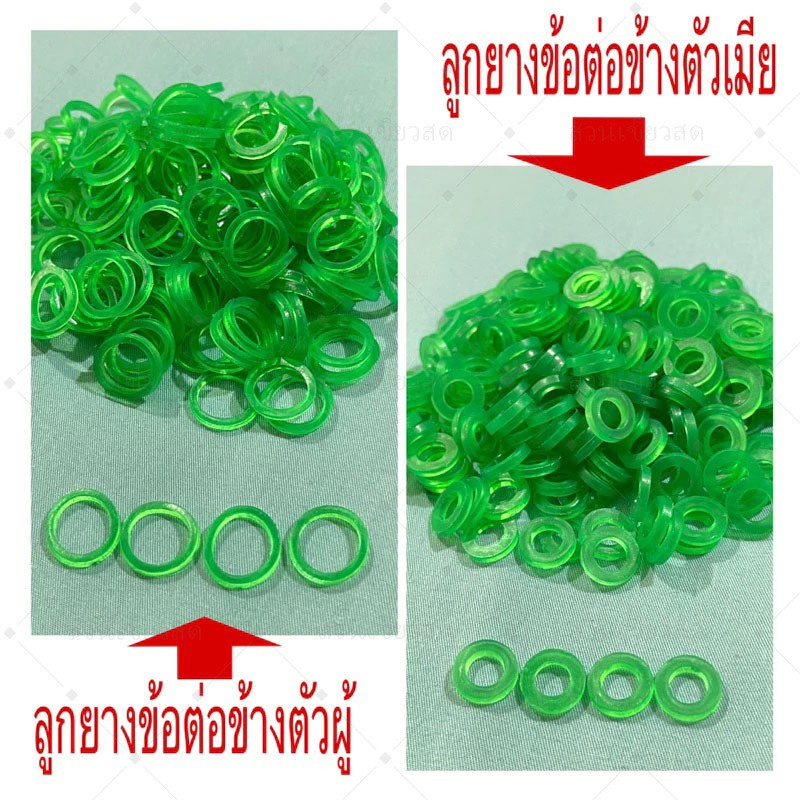 10 ชิ้น ซีลยาง ยางโอริง ยางข้อต่อทองเหลือง ซีลกันน้ำรั่ว​ รูปที่ 4
