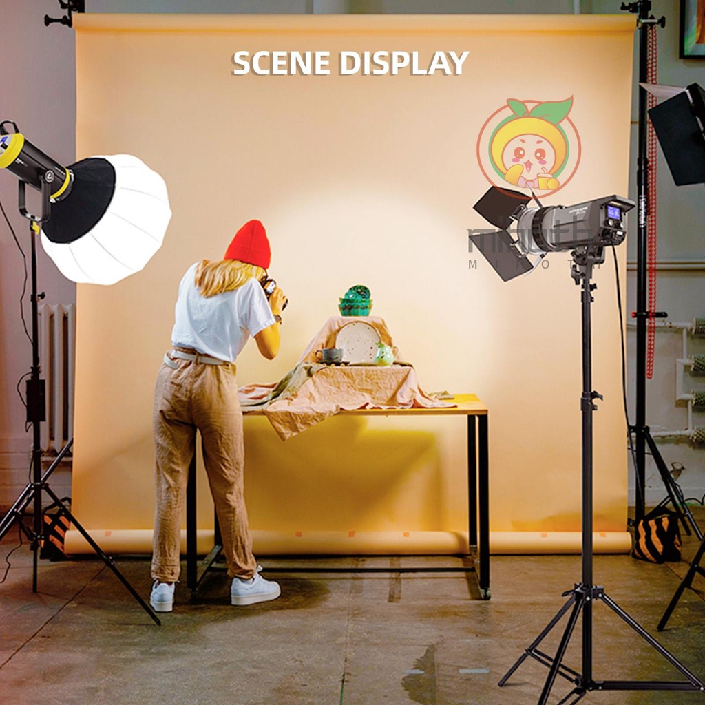Lippmann F20 เลนส์ Fresnel ขนาด 9 นิ้ว Bowens Mount 10°- 45°อะแดปเตอร์โฟกัสแบบออปติคัล 10X สว่างกว่า พร้อมประตูโรงนา 4 ใบที่ถอดออกได้สําหรับสตูดิโอเครื่องมือสร้างแสงต่อเนื่อง