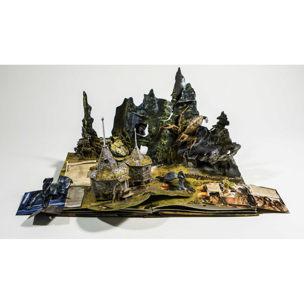 แฮร์รี่ พอตเตอร์: หนังสือป๊อปอัพ ของขวัญสำหรับเด็ก หนังสือเด็ก - รูปที่ 4