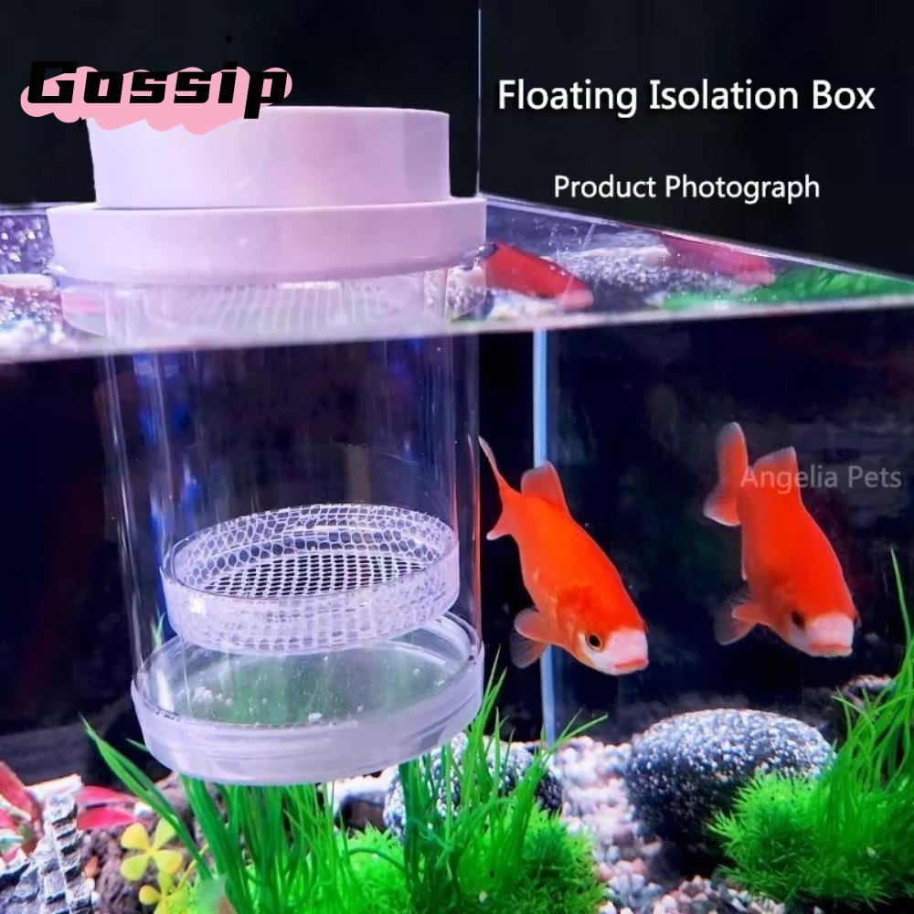 GOSSIP กล่องฟักลอย, กุ้ง Guppy Aquarium Breeder ลอยปลา Breeding กล่องแยก, ตาข่ายพลาสติกที่ถอดออกได้ ฟักปลาโปร่งใส Incubator Breeder กล่อง