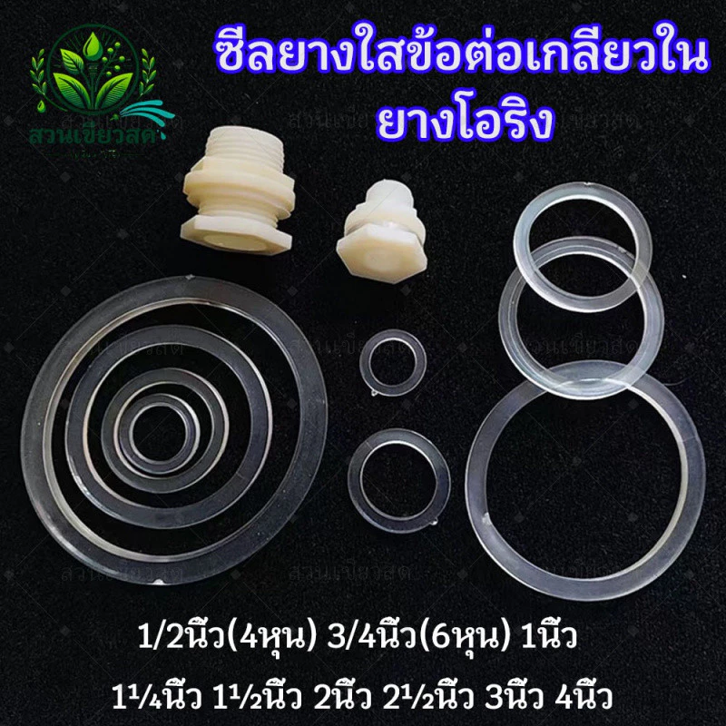 5 / 10 ชิ้น ยางโอริง ซีลยางใสข้อต่อเกลียวใน 1/2นิ้ว(4หุน) 3/4นิ้ว(6หุน) 1นิ้ว 1¼นิ้ว 1½นิ้ว 2นิ้ว 2½นิ้ว 3นิ้ว ซีลกันน้ำ