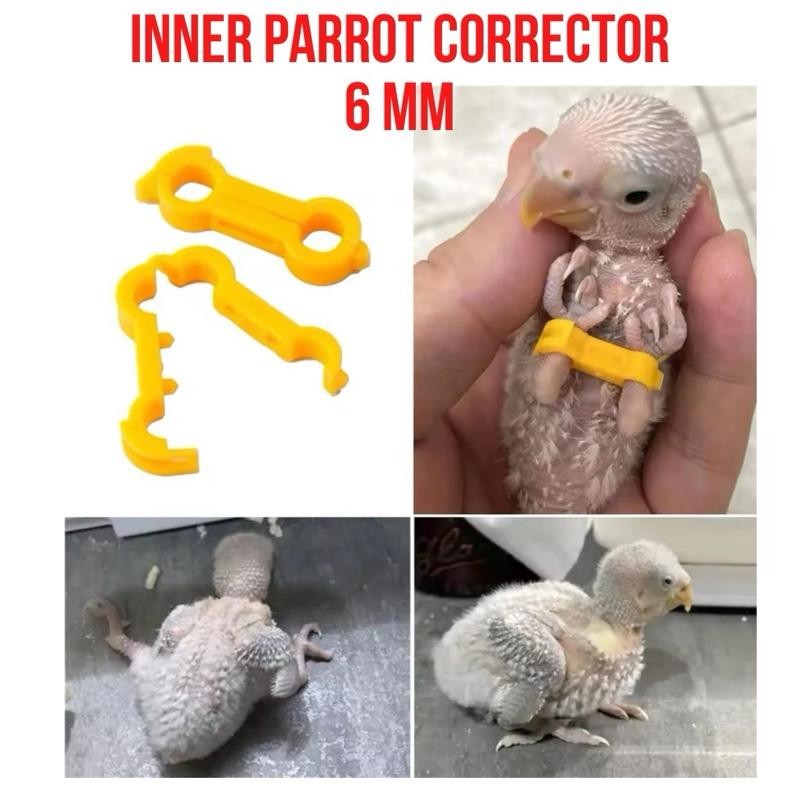 เฮ้ เครื่องมือแก้ไข 6 มม. สําหรับซ่อมนกร้องเพลง พาราเกตส์ แฟลคคอนัวร์ ค็อกคาโตออส ปากงอ ไม้คอเปอร์นก