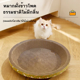 YTL ที่ลับเล็บ อ่างลับเล็บแมว ทรงวงรี ฟรีแคทนิป ที่ลับเล็บแมว คุณภาพดี ที่ลับเล็บแม 2in1 แถมฟรีกัญชาแมว