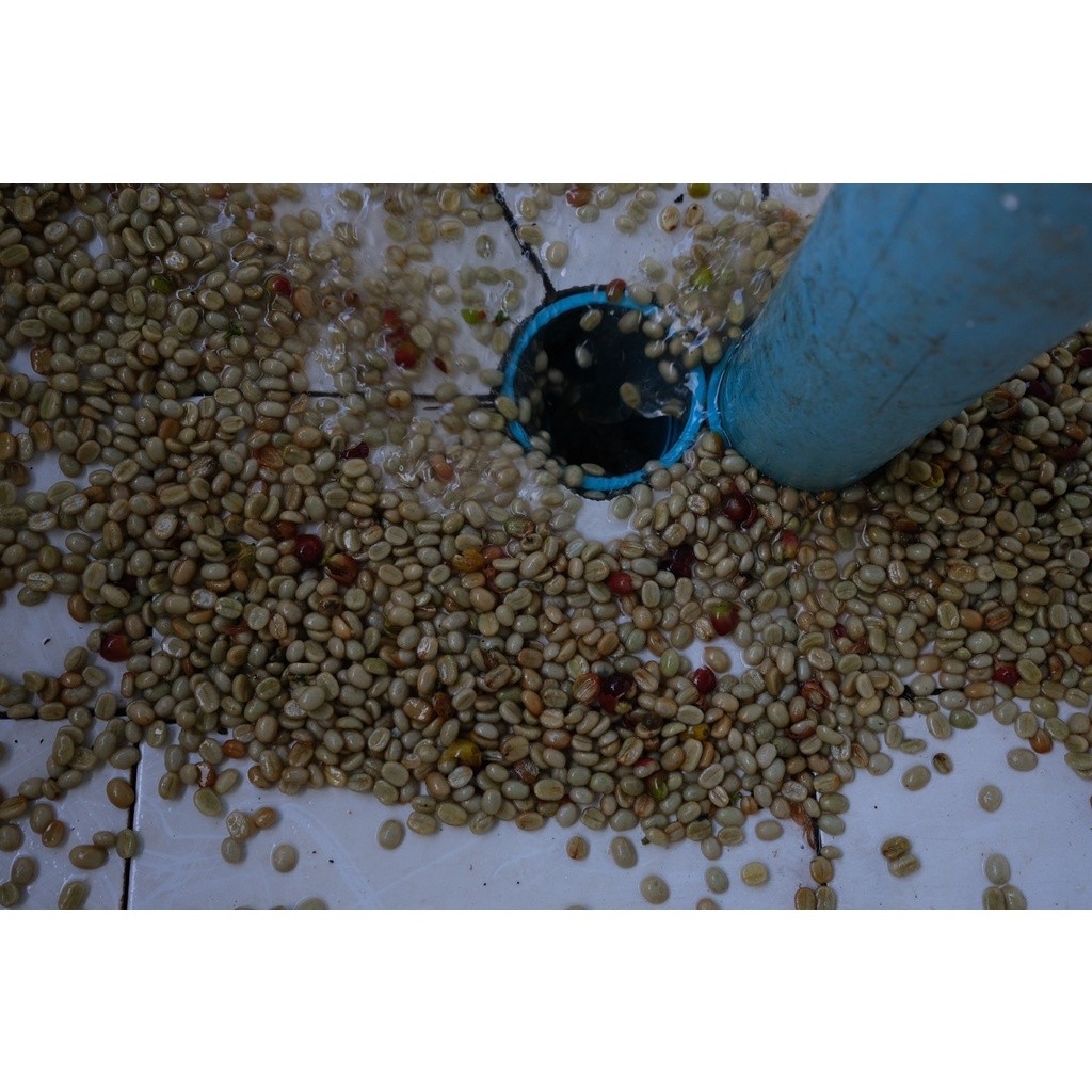 Mixed Fruit Coffee เมล็ดกาแฟกลิ่นหอมผลไม้สุกมาเต็มตระกร้า  หวานอมเปรี้ยว สดชื่นด้วยผลไม้รวม - รูปที่ 3