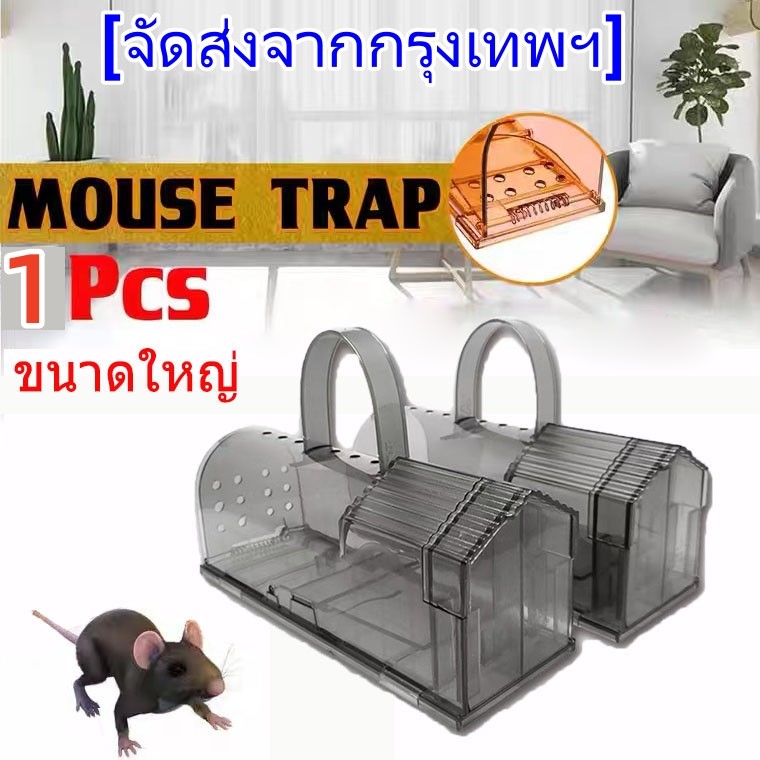 ที่ดักหนู ขนาดใหญ่ กับดักหนู ถังดักหนู กับดักสัตว์ป่า ถังดักหนูบ้าน กรงดักหนู หัวเชื้อดักหนู กำจัดหนู mouse and rat trap
