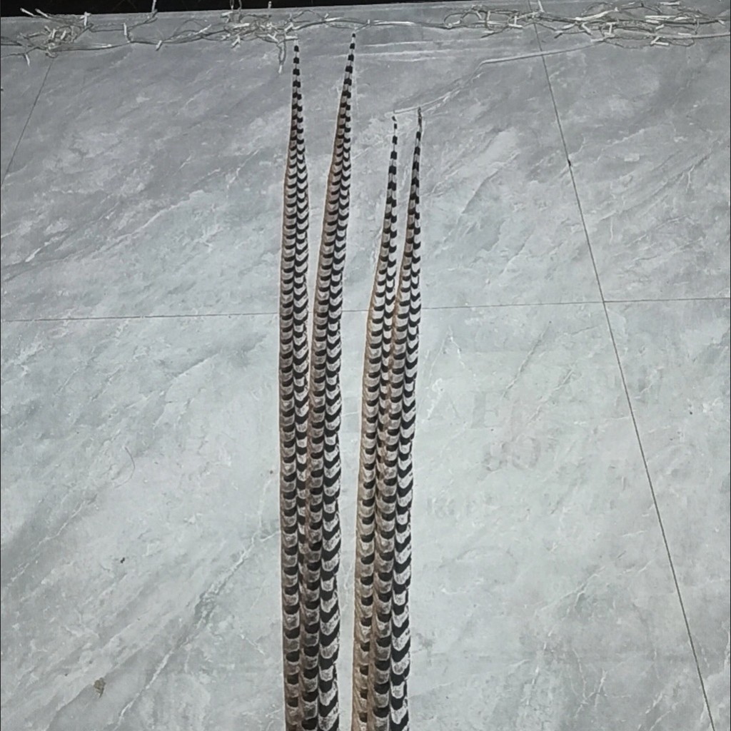 Feather Dance Props Feather Headdress Feather ขนไก่ Peking Opera Huadan Wild ไก่ฟ้า Feather Headdress อุปกรณ์เสริมผม Feather - รูปที่ 3