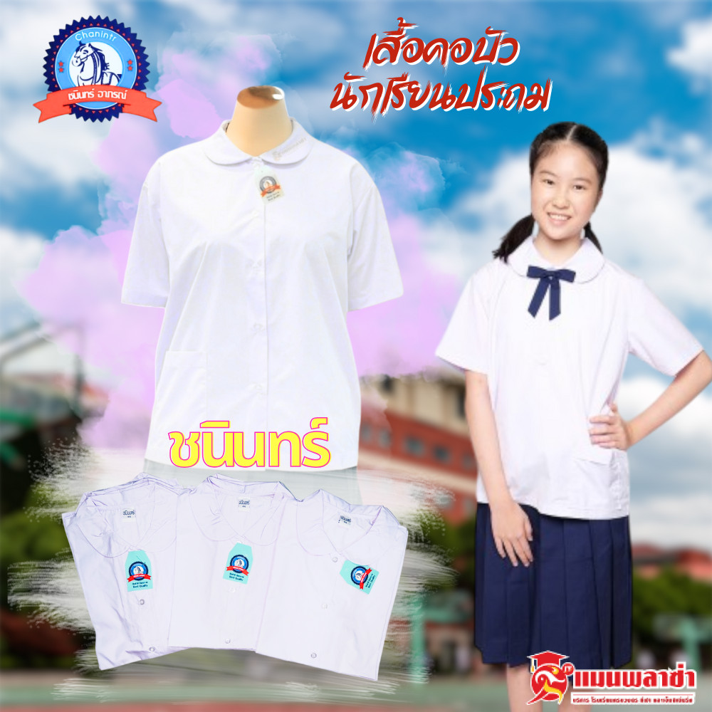 เสื้อนักเรียน เสื้อนักเรียนคอบัว ชนินทร์