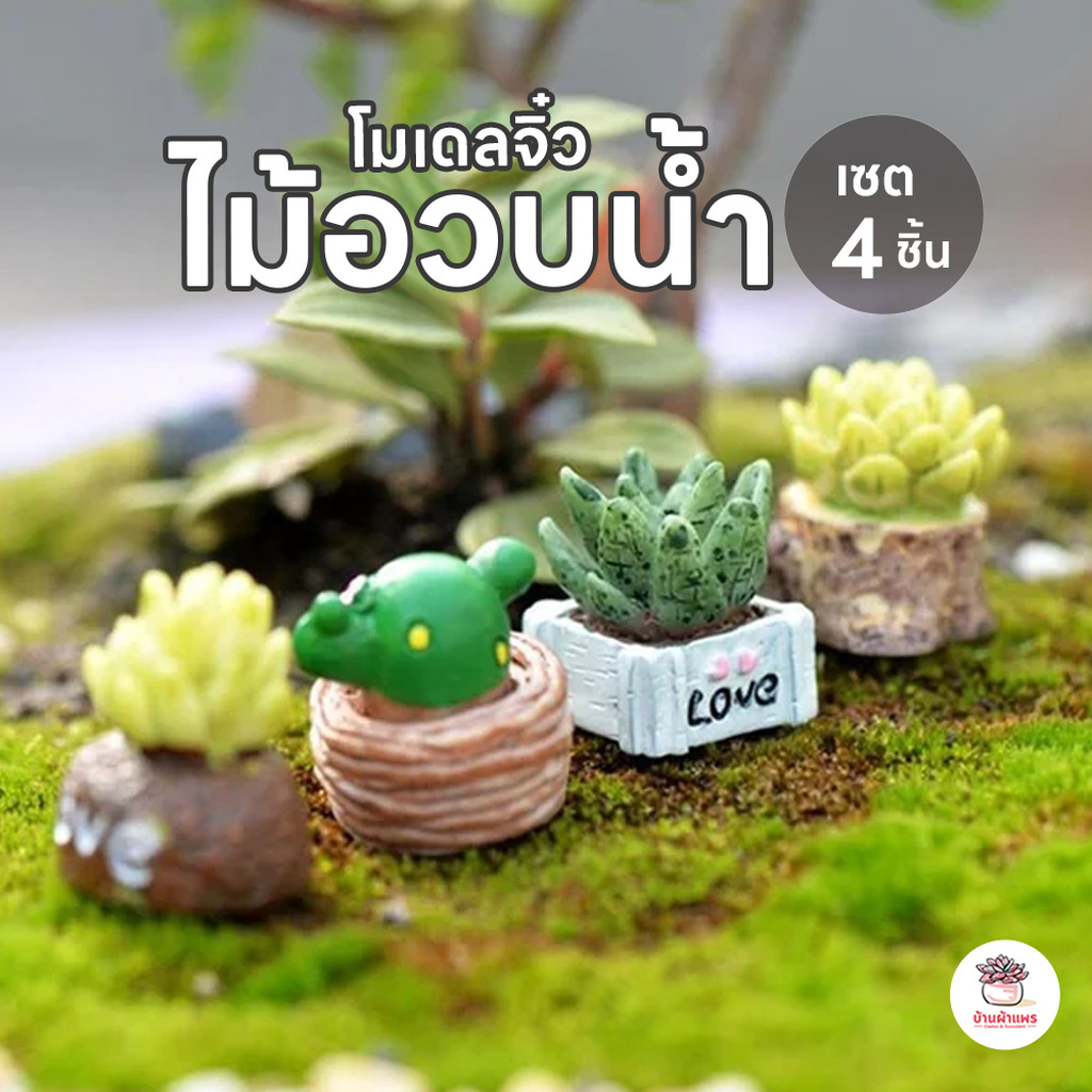 ไม้อวบน้ำ [ เซต 4 ชิ้น ] ตุ๊กตาจิ๋ว โมเดลจิ๋ว แต่งสวน