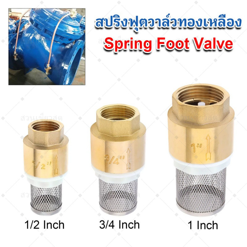 ฟุตวาล์ว สปริง ทองเหลือง แบบเกลียว ขนาด 1/2" - 1" (Brass Spring Foot Valve) วาล์วหัวกะโหลก ไม่เป็นสนิม 100%