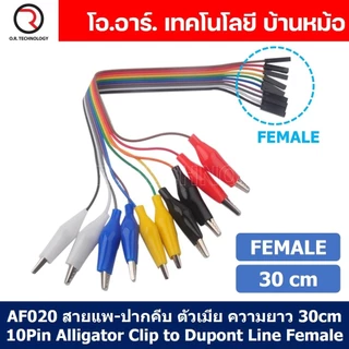สายแพ-ปากคีบ ตัวผู้/ตัวเมีย ความยาว 20cm/30cm 10Pin Alligator Clip to Dupont Line Male สายจั๊มเปอร์ Jumper สายจัมเปอร...