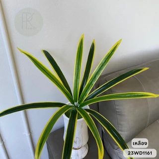 ใบเตยต้น 12 ใบ สูง 50 cm. (ใบเตยอย่างดี 1ต้นมี 12 ใบดัดได้) ใช้ตกแต่ง ใบไม้ปลอม ใส่แจกัน สวย สีสด ทน