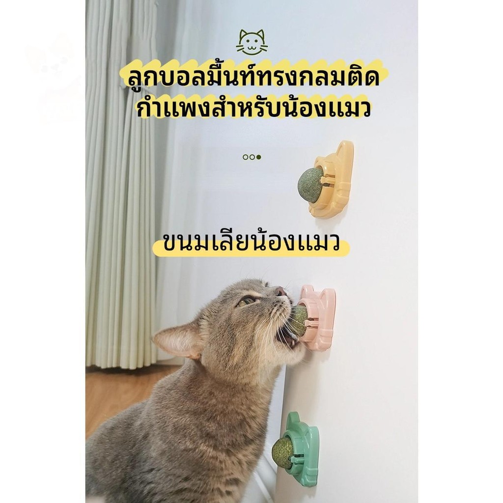 ลูกบอลมื้นท์ทรงกลมติดกำแพงสำหรับน้องแมว รักษาสูขภาพช่องปาก catmip ball wall sucker cat toys PetyPet P34 - รูปที่ 5