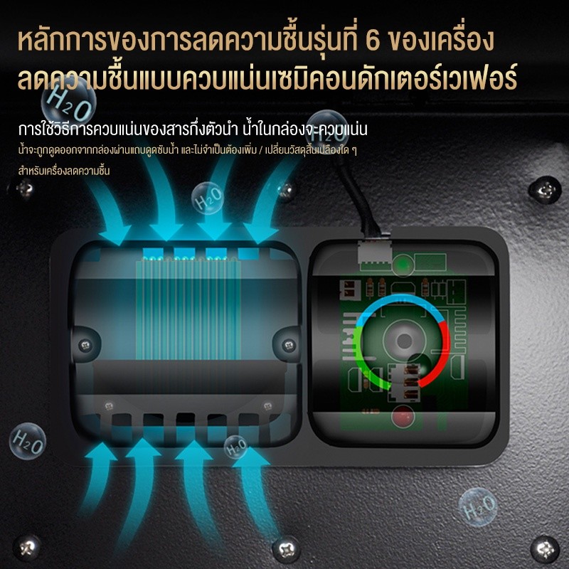 รูปภาพ 7