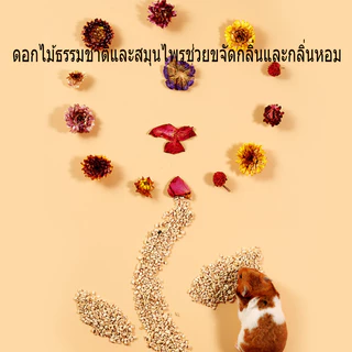รองกรงแฮมสเตอร์ รองกรง รองกรงซังข้าวโพด 1kg แห้งและปราศจากฝุ่น เย็นและเย็น วัสดุธรรมชาติ กินได้