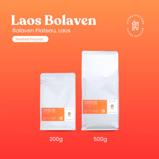 เมล็ดกาแฟ Laos Bolaven Washed process เมล็ดกาแฟคั่วอาราบิก้า Cherdchai Coffee Roasters