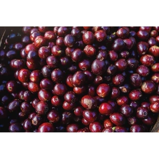 Blueberry Candy Coffee ชอปปี้2 เมล็ดกาแฟกลิ่น และรสชาติโทนเบอร์รี่หอมๆ