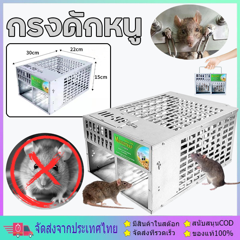 กับดักหนูต่อเนื่อง กับดักหนู กรงดักหนูอัตโนมัติ ที่ดักหนู กับดักหนูสำเร็จรูป กับดักหนูสองประตู เพิ่มความหนา ใช้ซ้ำได้