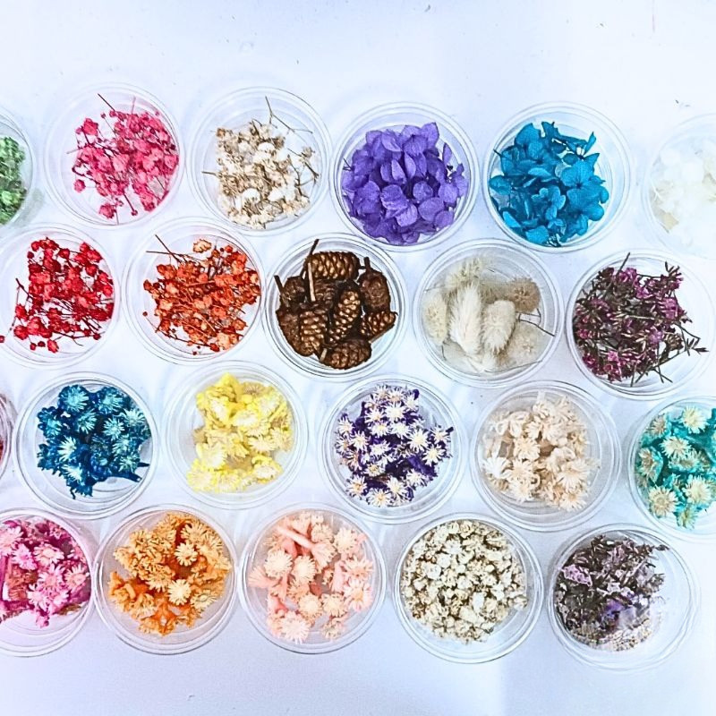 ดอกไม้แห้ง สำหรับงานDIY ดอกไม้แห้งมีหลายชนิดหายสีพร้อมส่ง