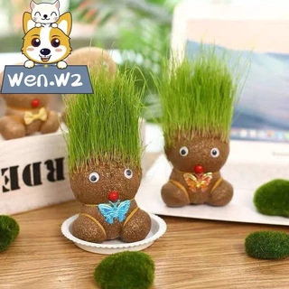 wen.W2 ตุ๊กตาหัวหญ้า หญ้าแมว ตุ๊กตาผมเป็นต้นไม้