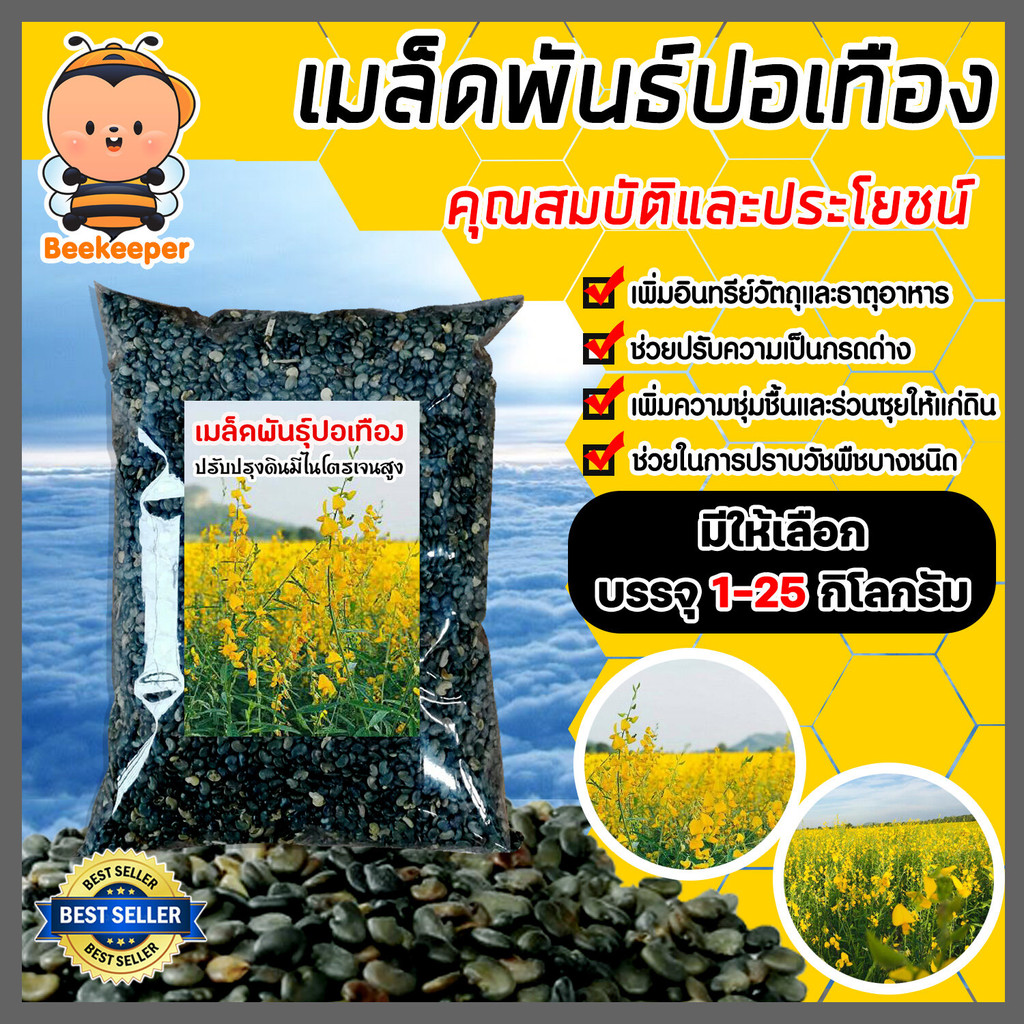 เมล็ดพันธุ์ปอเทือง มีให้เลือกปริมาณ 1-5 กิโลกรัม ดอกปอเทือง ดอกเหลือง เมล็ดพันธุ์คุณภาพดี พืชบำรุงดิน ให้ปุ๋ยอินทรีย์
