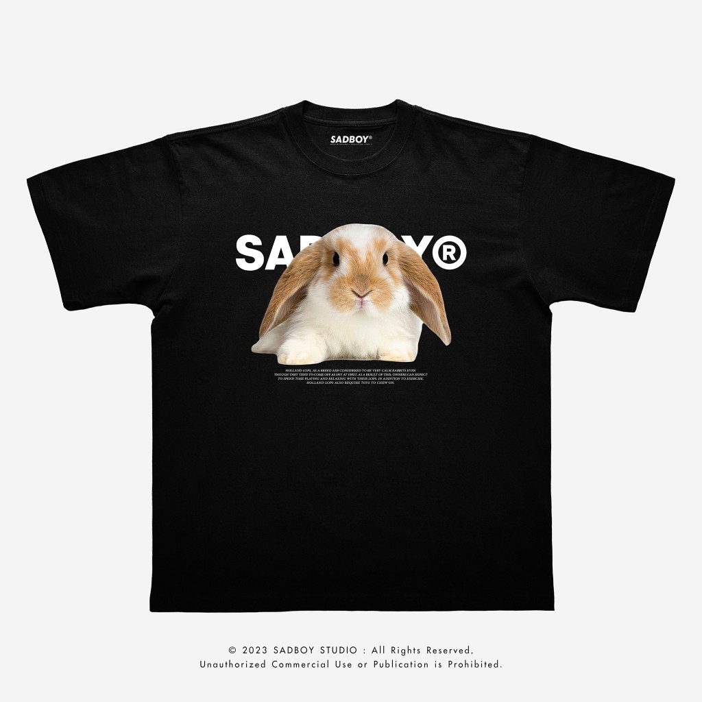 SADBOY® | Holland lop🐰 | Semi-Oversized | 100% Organic Cotton