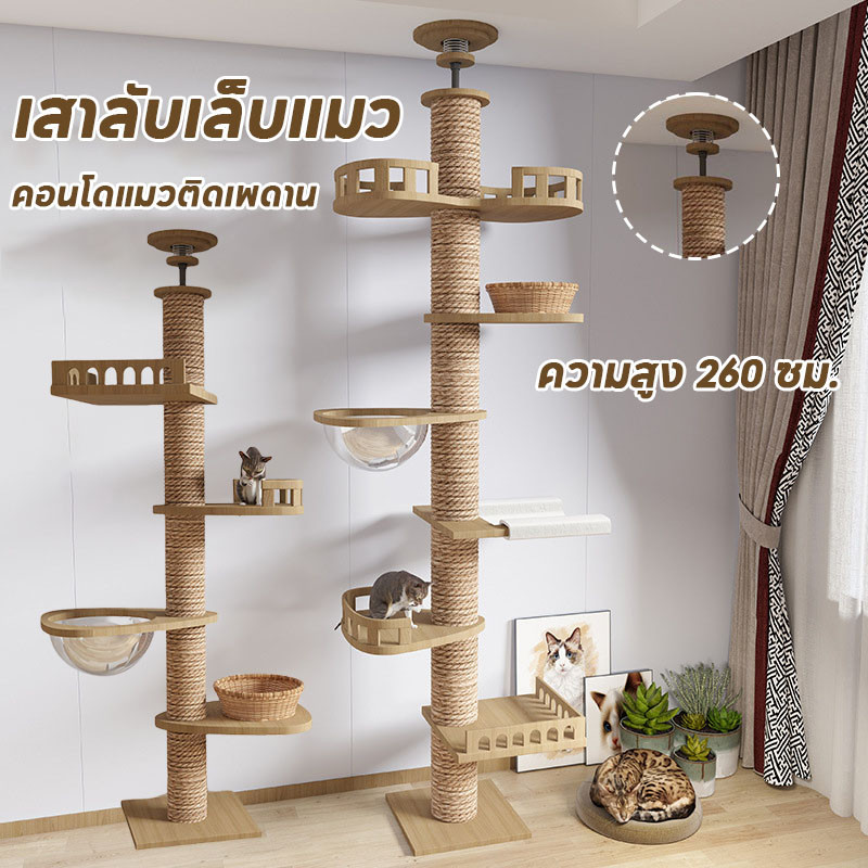 😻คอนโดแมวติดเพดาน DIY เสาลับเล็บแมว คอนโดแมวแบบเสา ไม่ต้องเจาะ แท่นเสาปีนป่าย 260 เซนติเมตร แข็งแรงไ