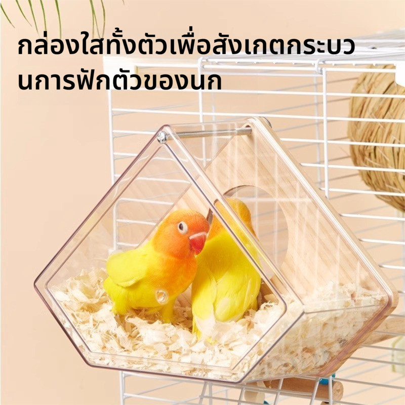 รังนกแก้วในกรงแบบใส กันหนาว สำหรับนกหงส์หยก เลิฟเบิร์ด ค็อกคาเทล กล่องขยายพันธุ์【QINGXPET】