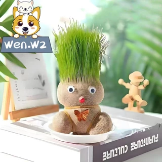 wen.W2 ตุ๊กตาหัวหญ้า หญ้าแมว ตุ๊กตาผมเป็นต้นไม้