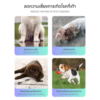 Doge&Orange พร้อมส่ง ปลอกเท้าสำหรับสัตว์เลี้ยง ที่หุ้มเท้าแมว รองเท้าสุนัข 20 ชิ้น/แพ็ค รองเท้าใช้แล้วทิ้ง PU117