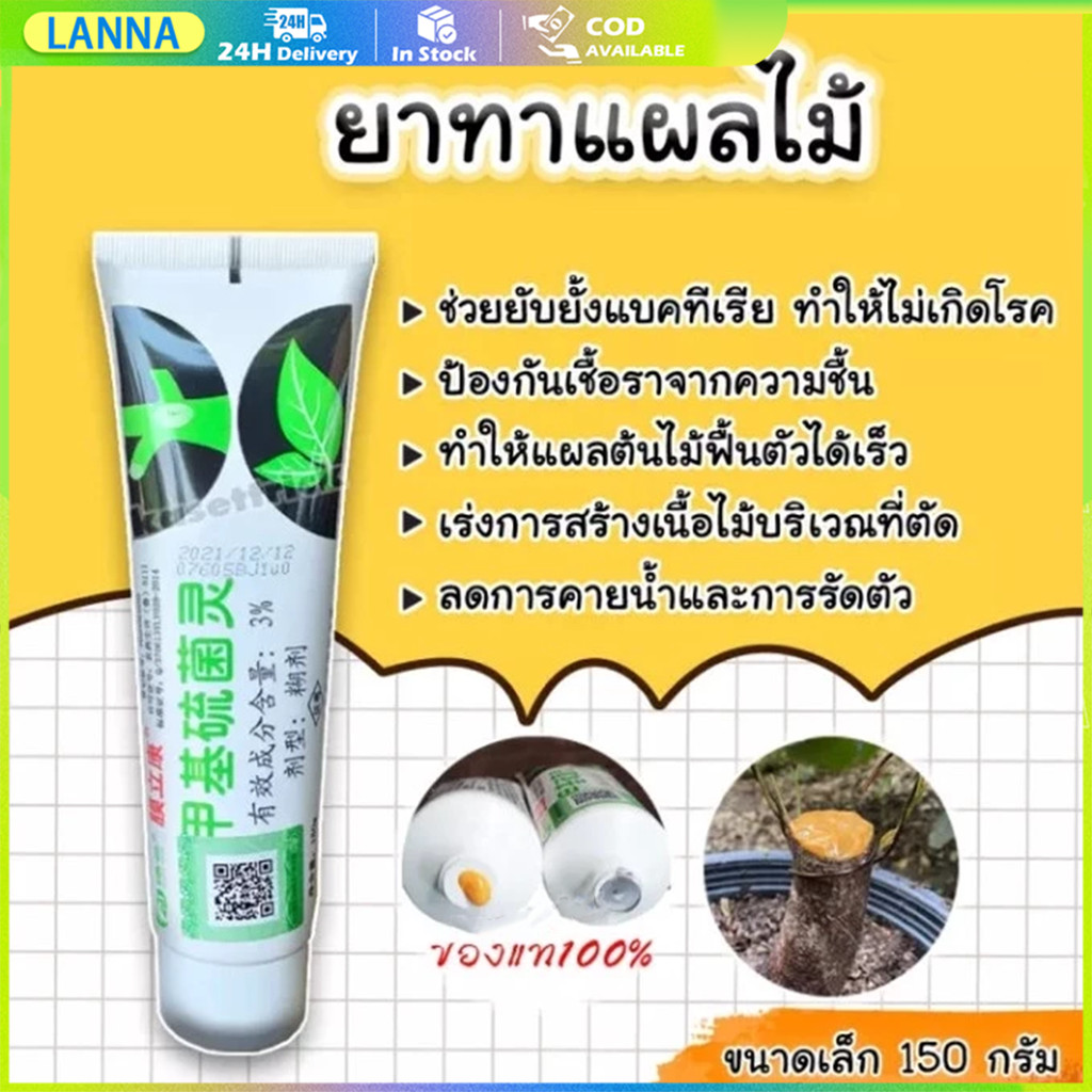 ร้านอยู่ที่ไทย ป้องกันการติดเชื้อแบคทีเรียและเชื้อรา 150g ป้องกันเชื้อรา ยาทาแผลต้นไม้ บอนไซ มอนสเตอร่า