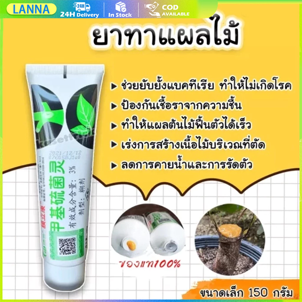 ร้านอยู่ที่ไทย ป้องกันการติดเชื้อแบคทีเรียและเชื้อรา 150g ป้องกันเชื้อรา ยาทาแผลต้นไม้ บอนไซ มอนสเตอร่า