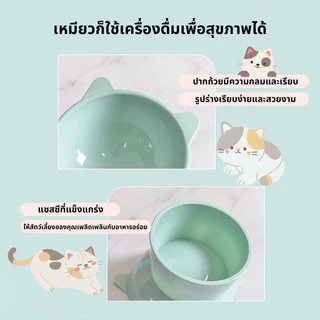 🐾ชามอาหารสัตว์เลี้ยง ชามกันมด แมว ชามอาหารแมว ชามอาหารหมา ทรงเอียง 15 องศา ป้องกันกระดูกสันหลังคอ