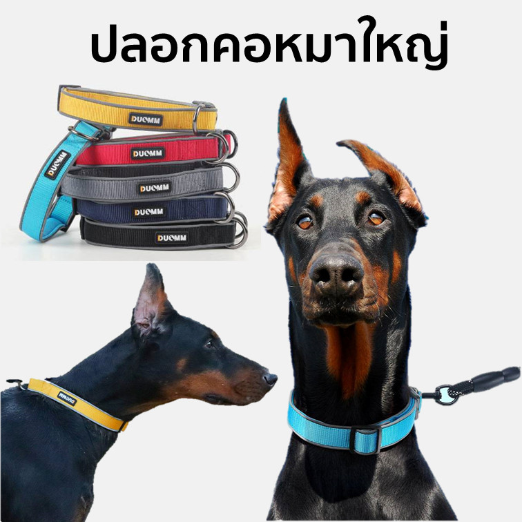ปลอกคอสุนัข สะท้อนแสงเวลากลางคืน มองเห็นได้ชัด  ปรับขนาดได้