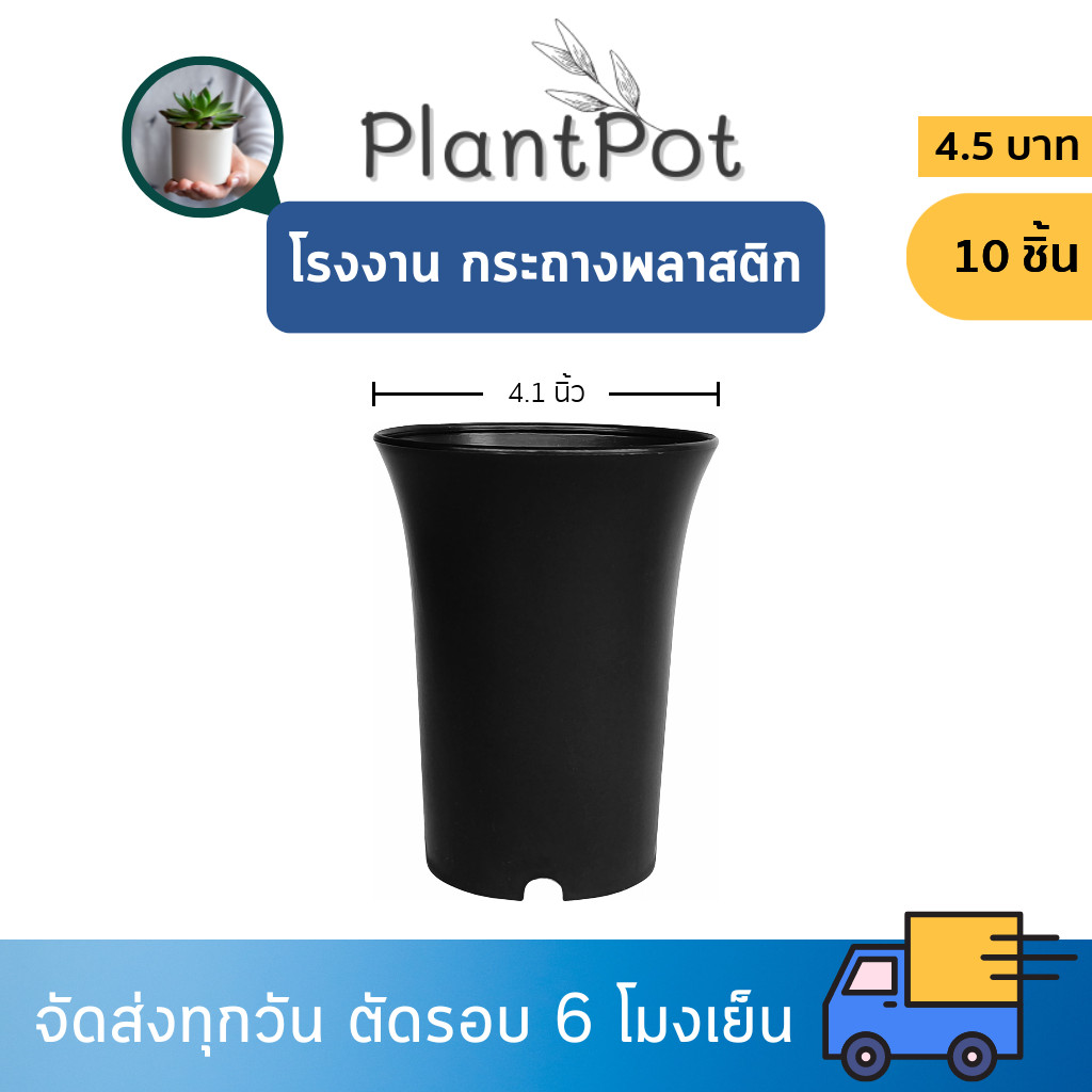 กระถางปากแตร กระถาง กระถางไม้กราฟ ทรงสูง 4 นิ้ว 10 ใบ สีดำ ยกมัด