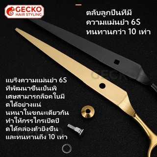กรรไกรตัดผมชุด 11 ชิ้น พร้อมกรรไกรแบนและกรรไกรตัดฟัน กระเป๋าใส่กรรไกรและผ้าตัดผม ชุดเครื่องมือตัดผมมืออาชีพ